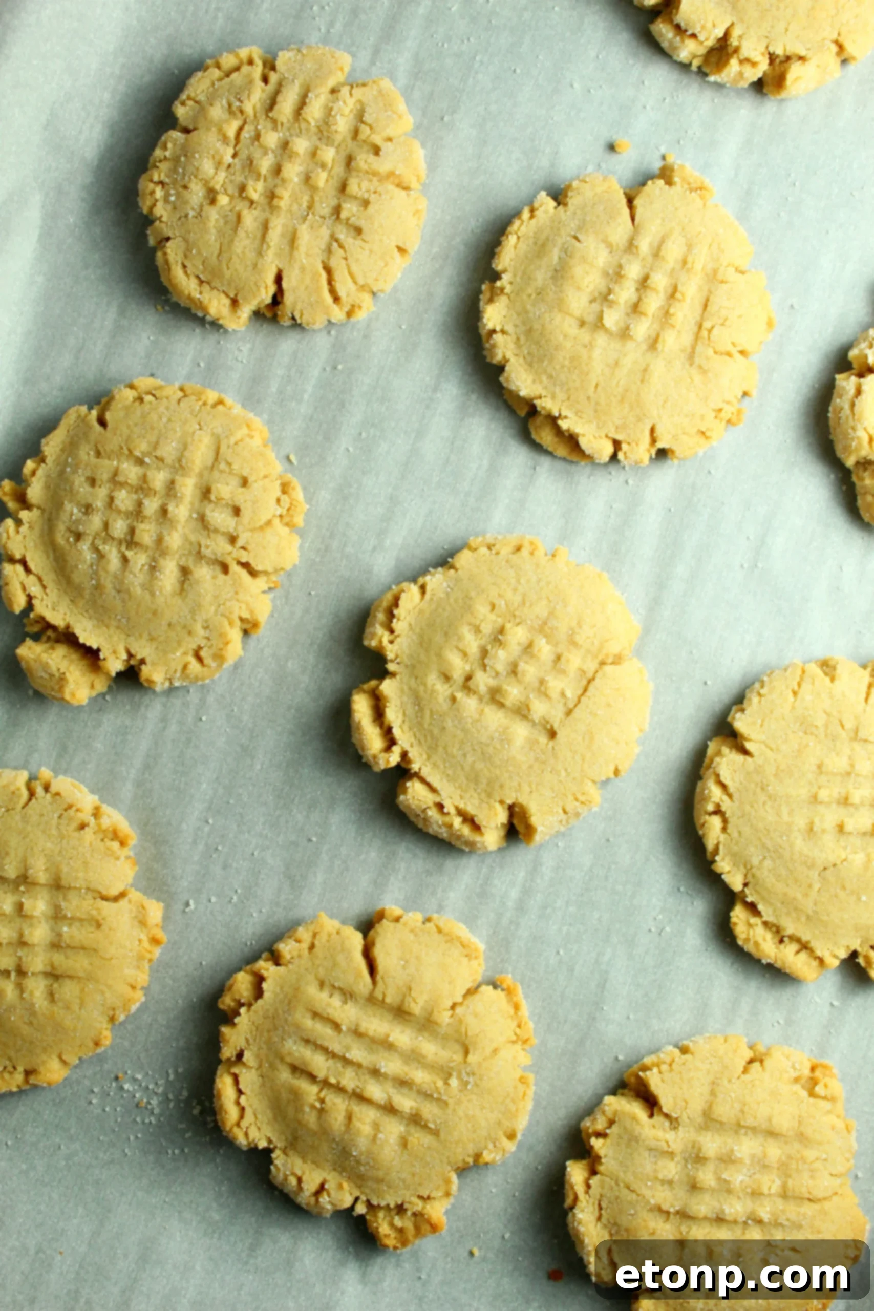 Close-up of a single peanut butter cookie, highlighting its soft texture and golden-brown edges.