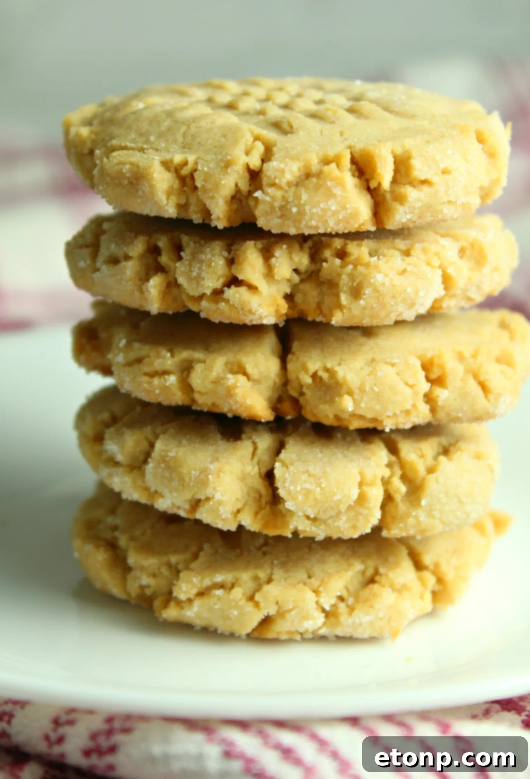 A freshly baked peanut butter cookie with a clear criss-cross pattern.