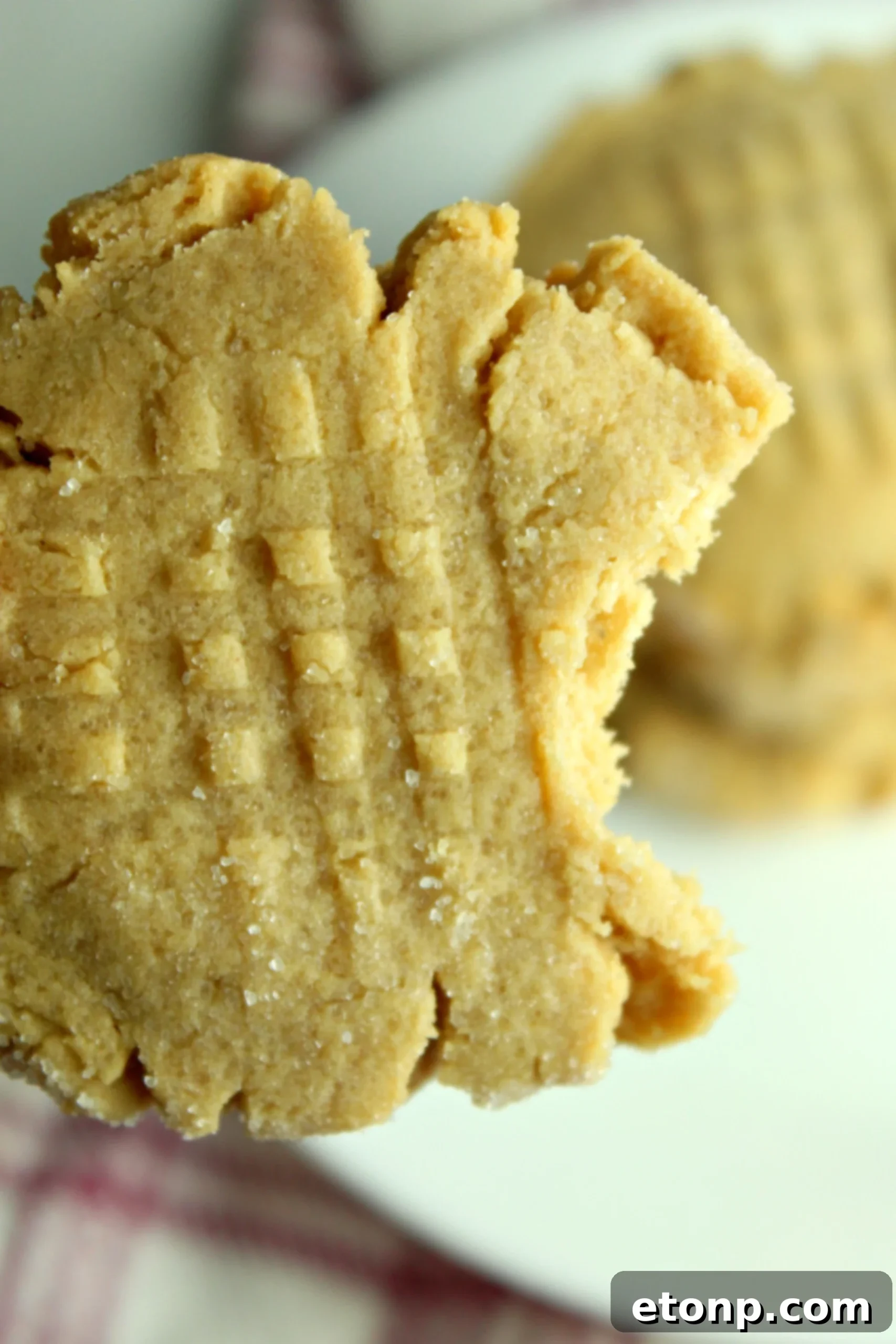 A plate of several classic peanut butter cookies ready to be enjoyed.