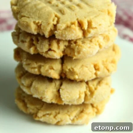 A delicious classic peanut butter cookie.