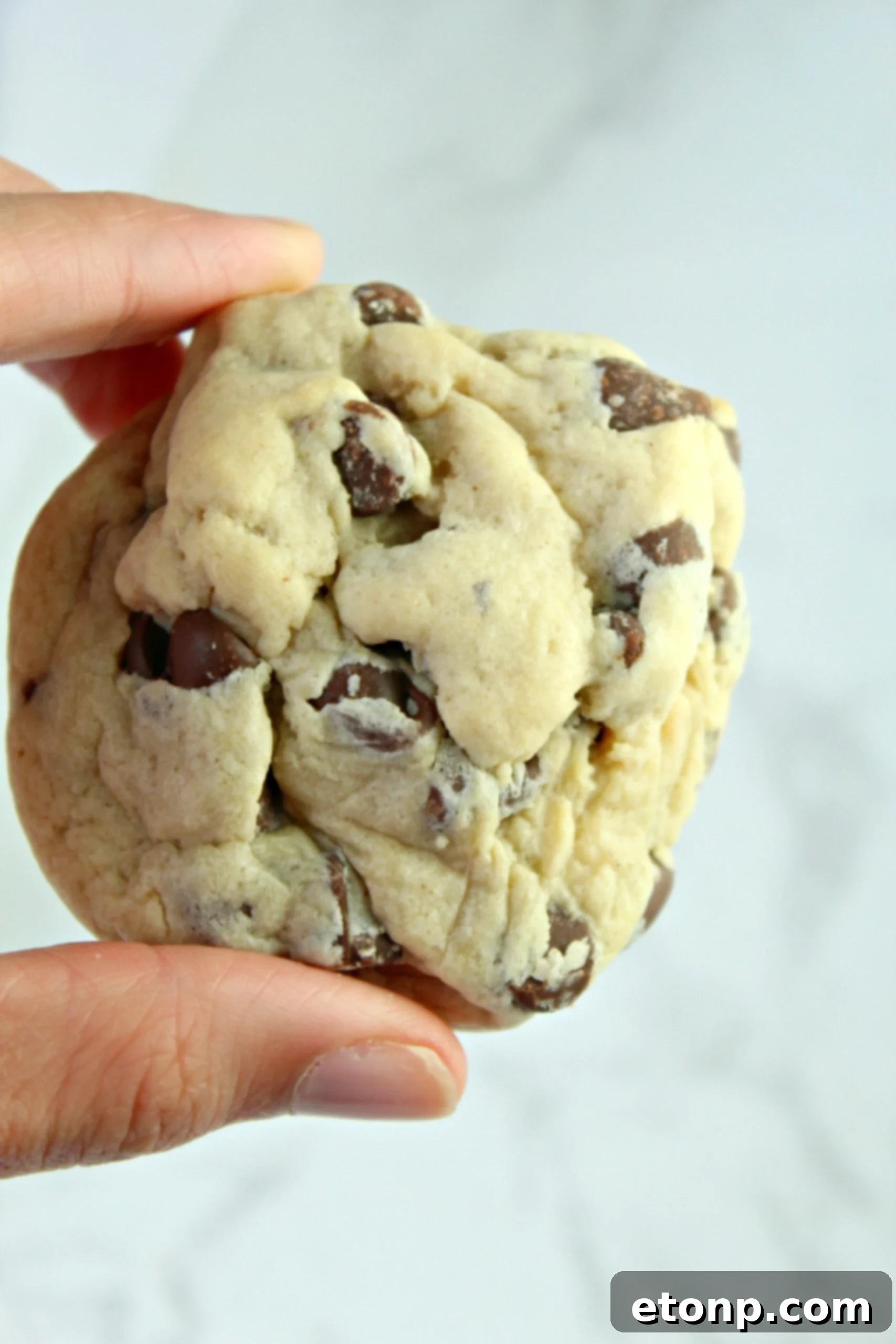 Creamy Dream Chocolate Chip Cookies 5 A close-up of a Soft Batch Cream Cheese Chocolate Chip Cookie, showing its perfectly baked surface, slightly cracked top, and abundant melty chocolate chips.