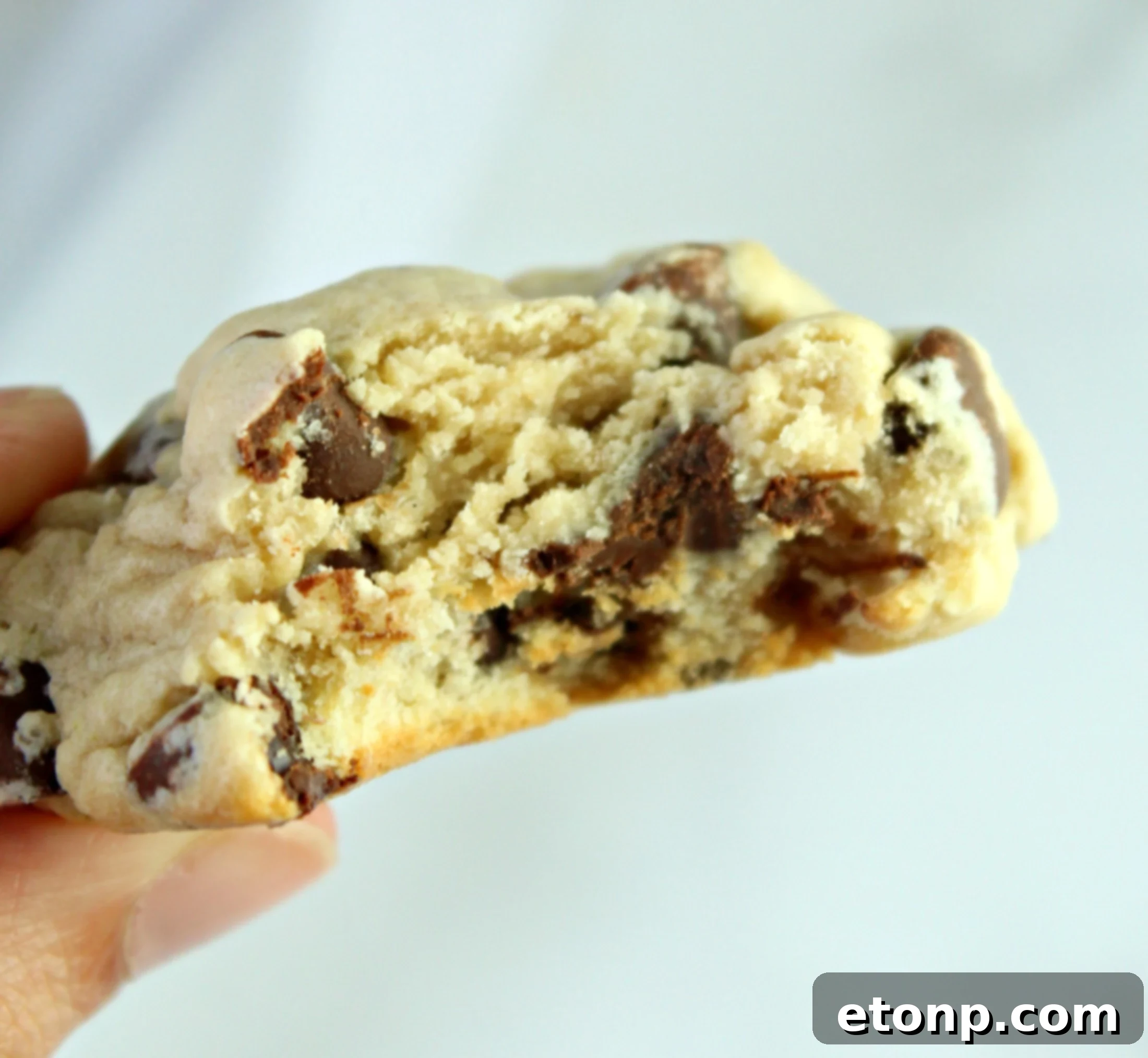 Creamy Dream Chocolate Chip Cookies 8 A plate of freshly baked Soft Batch Cream Cheese Chocolate Chip Cookies, generously sprinkled with chocolate, ready to be enjoyed.