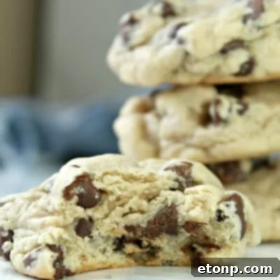 Soft Cream Cheese Chocolate Chip Cookies