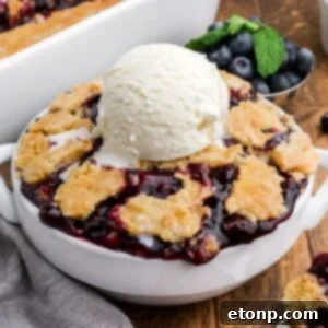 Blueberry Dump Cake in a bowl topped with a scoop of vanilla ice cream
