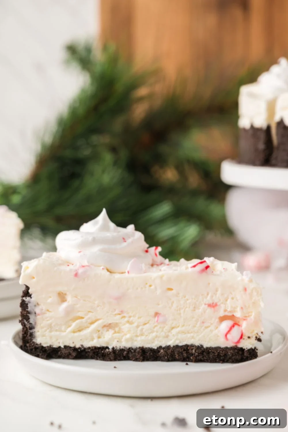 Peppermint Dream Cheesecake: A Festive No-Bake Delight 2 Slice of No Bake Peppermint Cheesecake on a white plate