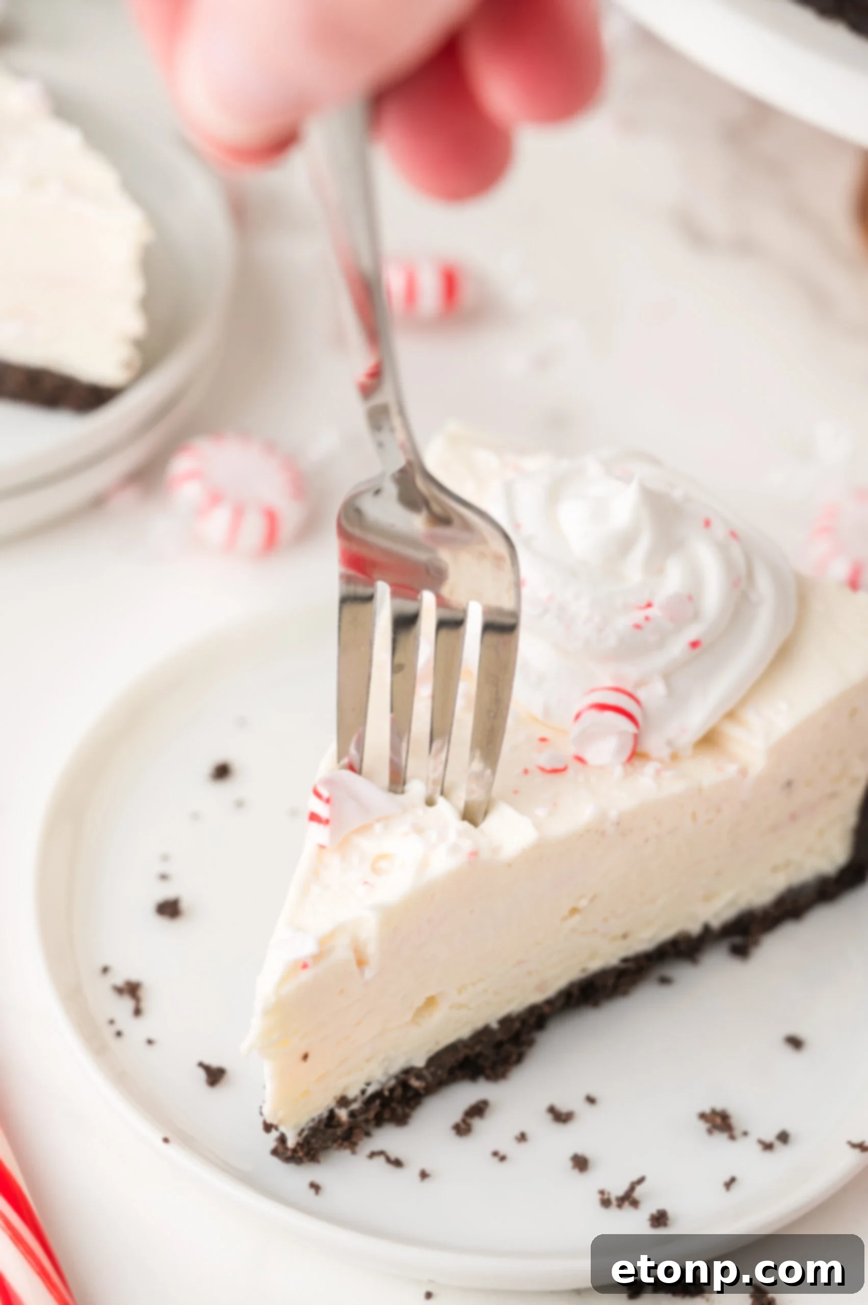 Peppermint Dream Cheesecake: A Festive No-Bake Delight 15 Fork taking a bite of No Bake Peppermint Cheesecake
