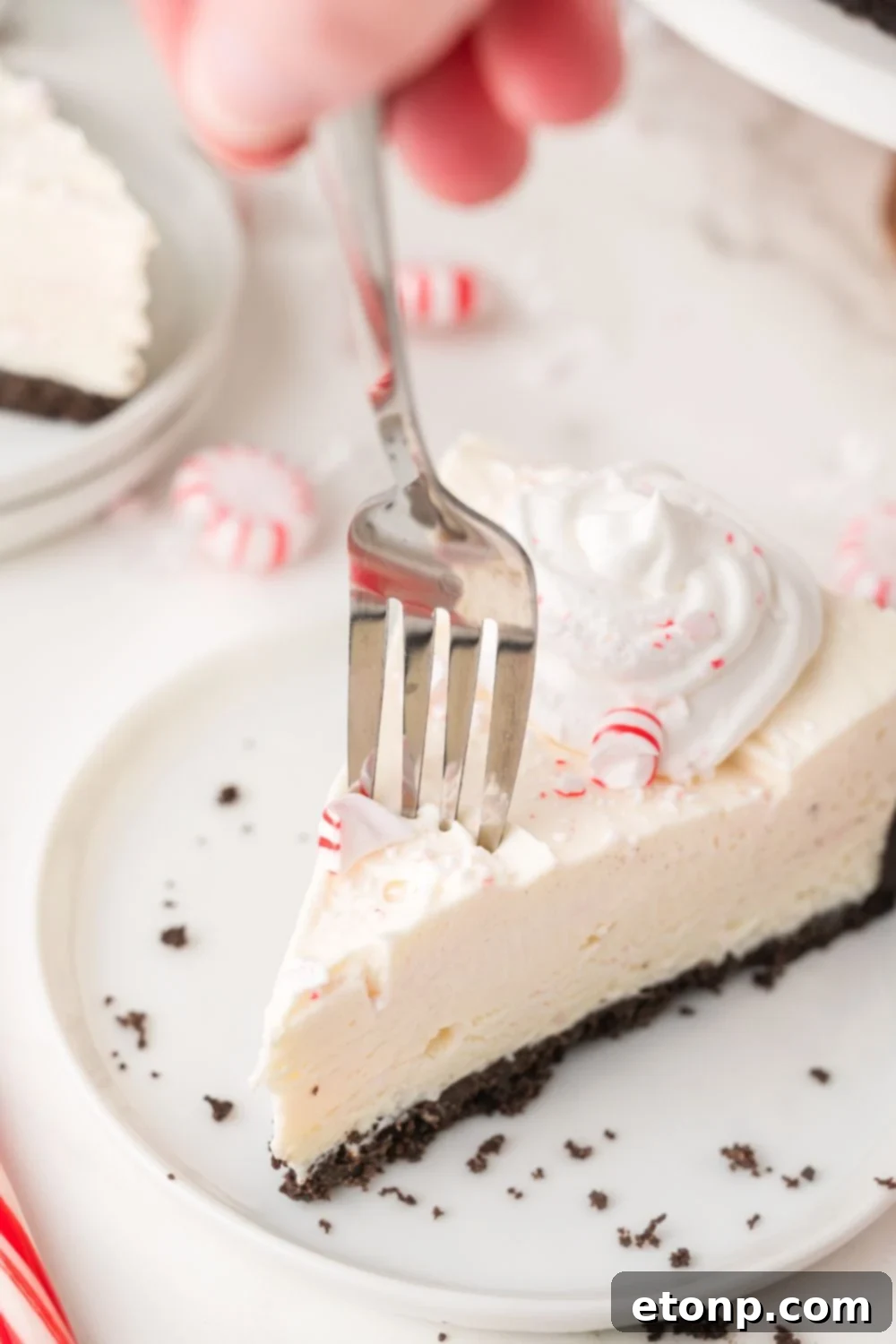Peppermint Dream Cheesecake: A Festive No-Bake Delight 18 Slice of No Bake Peppermint Cheesecake on a white plate