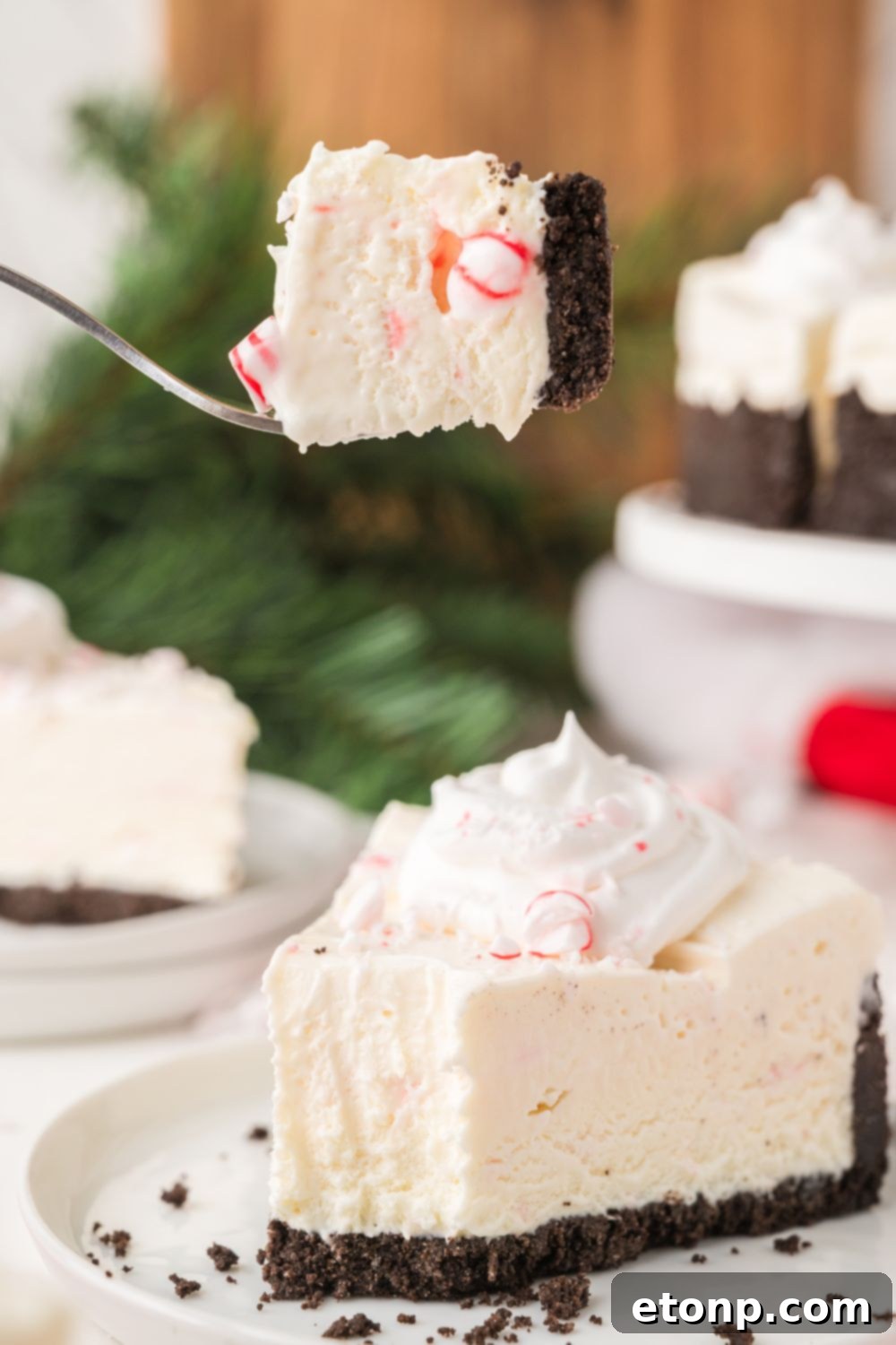 Peppermint Dream Cheesecake: A Festive No-Bake Delight 19 Slice of No Bake Peppermint Cheesecake with a bite taken out