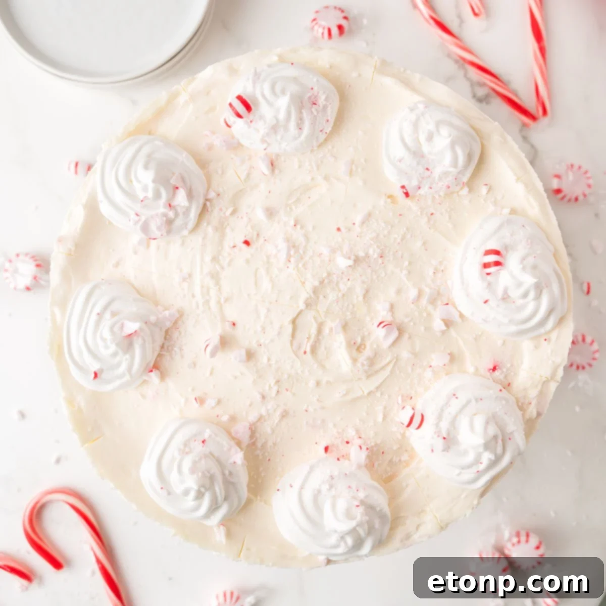 Peppermint Dream Cheesecake: A Festive No-Bake Delight 3 No Bake Peppermint Cheesecake on a white table with candy canes