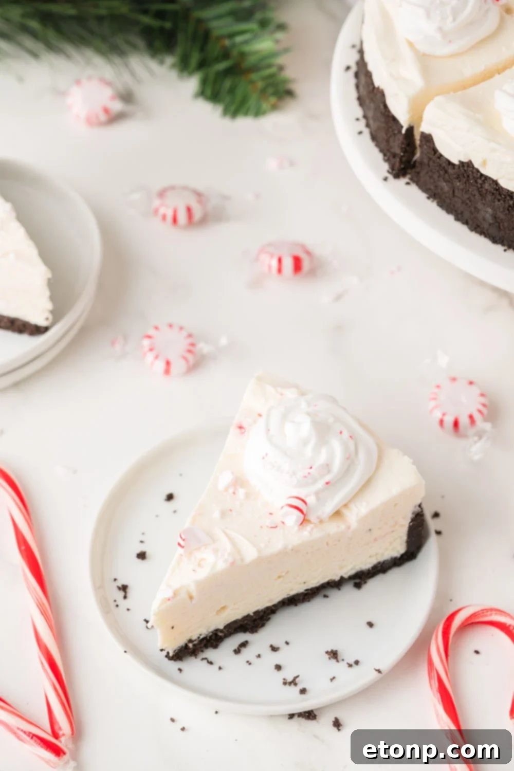 Peppermint Dream Cheesecake: A Festive No-Bake Delight 21 Slices of No Bake Peppermint Cheesecake with candy canes