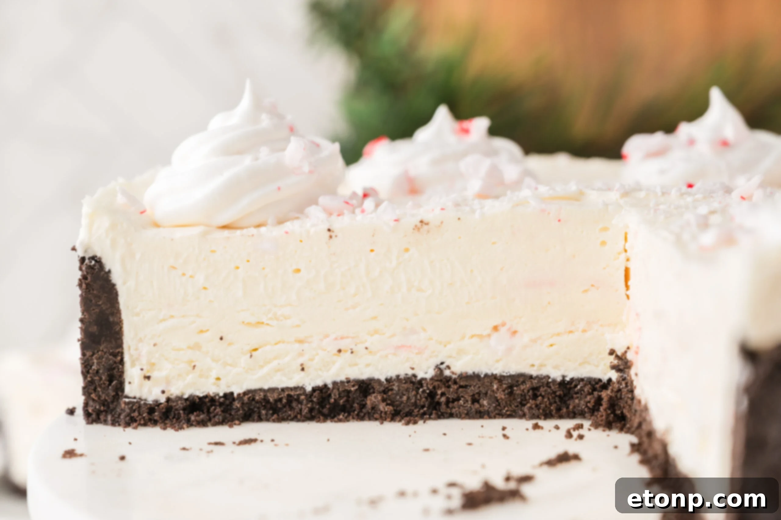 Peppermint Dream Cheesecake: A Festive No-Bake Delight 23 No Bake Peppermint Cheesecake with a slice removed