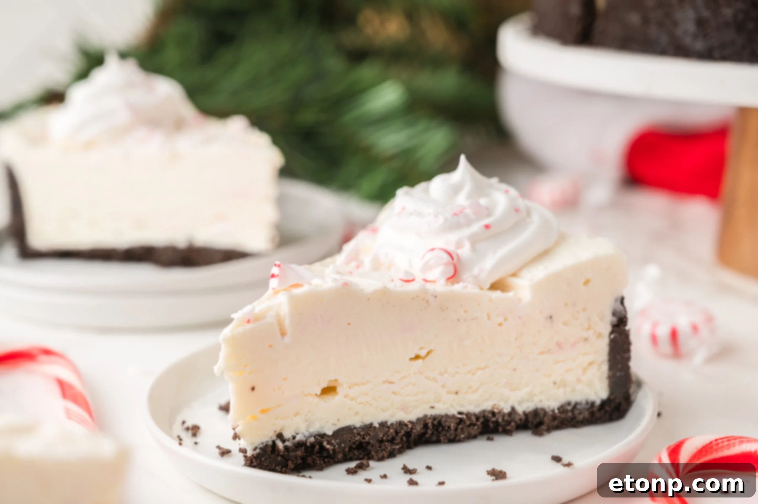 Peppermint Dream Cheesecake: A Festive No-Bake Delight 26 Slice of No Bake Peppermint Cheesecake with candy canes