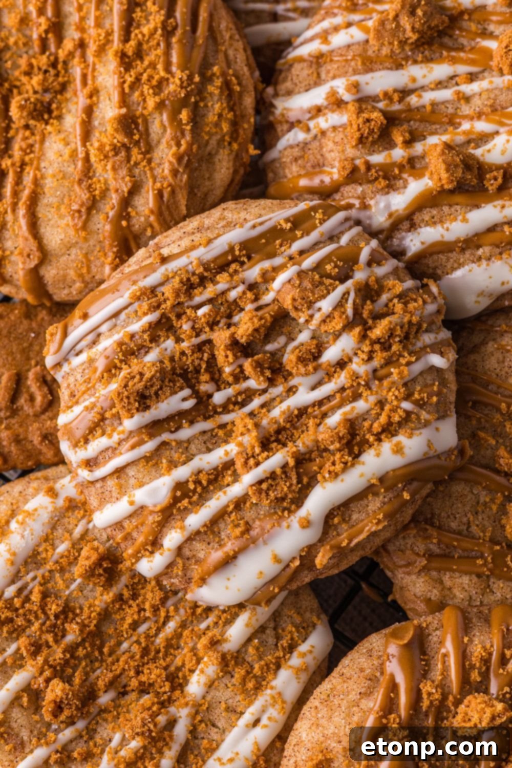 Biscoff Bliss: Soft-Baked Cinnamon Butter Cookies 18 Biscoff Snickerdoodle Cookies spread around a table