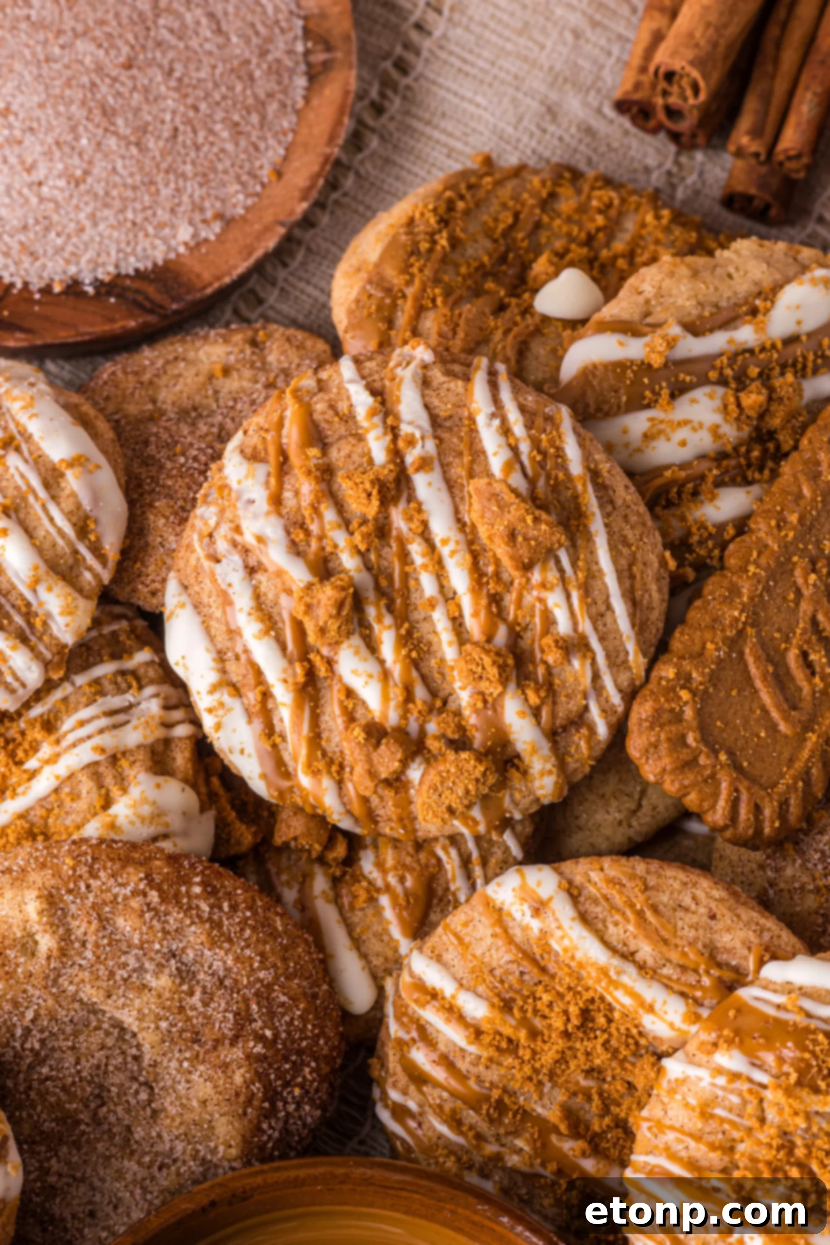 Biscoff Bliss: Soft-Baked Cinnamon Butter Cookies 19 Biscoff Snickerdoodle Cookies spread around a table with cookies