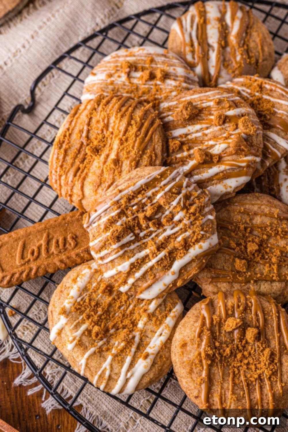Biscoff Bliss: Soft-Baked Cinnamon Butter Cookies 20 Biscoff Snickerdoodle Cookies with Lotus cookies