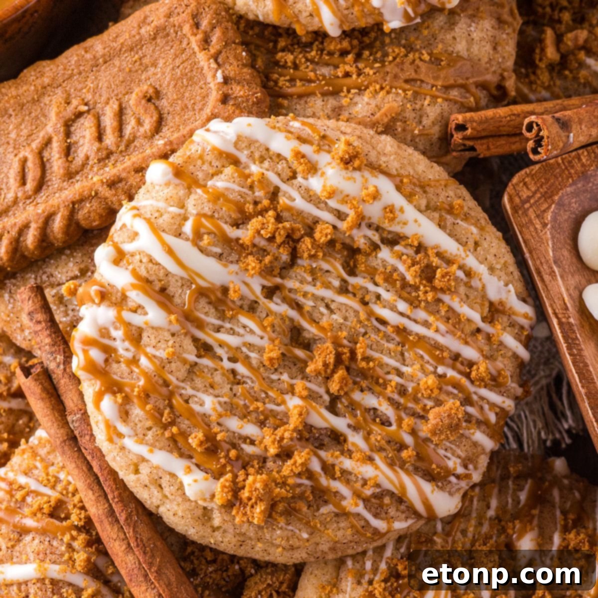 Biscoff Bliss: Soft-Baked Cinnamon Butter Cookies 3 Biscoff Snickerdoodle Cookies stacked with a Biscoff cookie and white chocolate chips