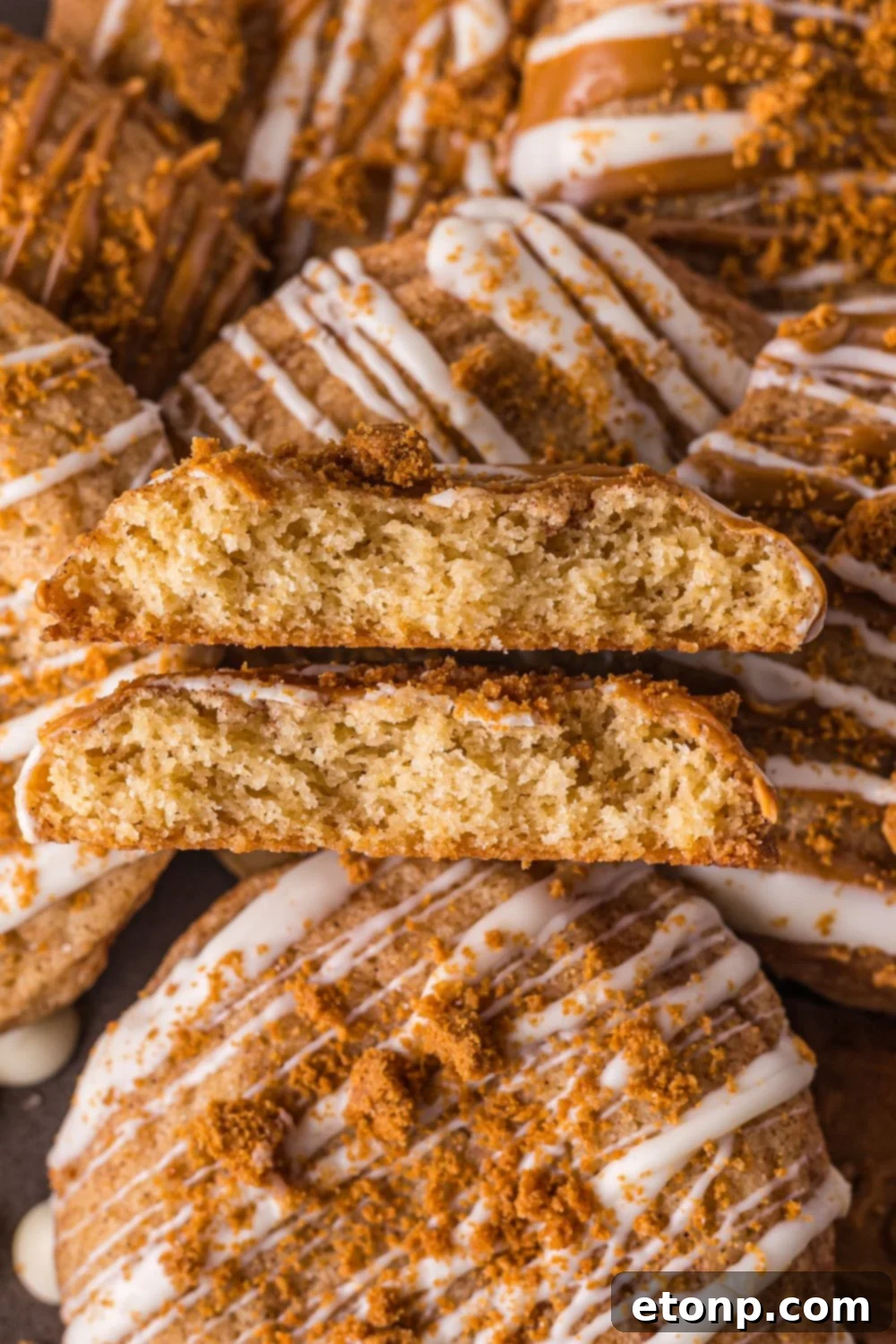Biscoff Bliss: Soft-Baked Cinnamon Butter Cookies 23 Biscoff Snickerdoodle Cookies broken in half