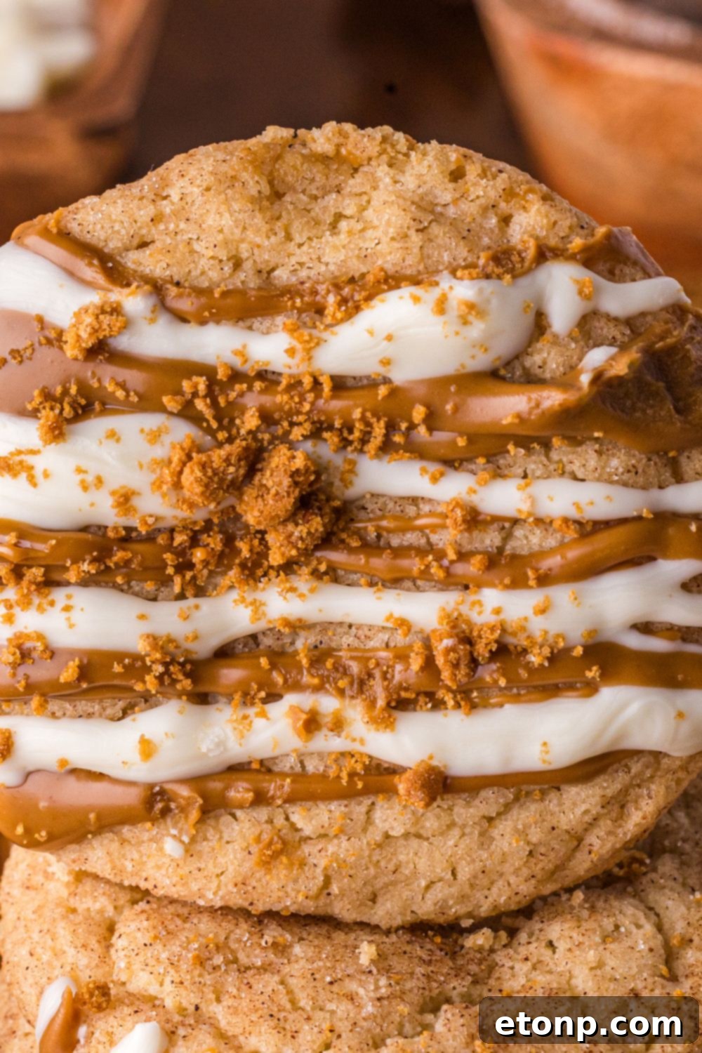 Biscoff Bliss: Soft-Baked Cinnamon Butter Cookies 24 Biscoff Snickerdoodle Cookies on a wooden table