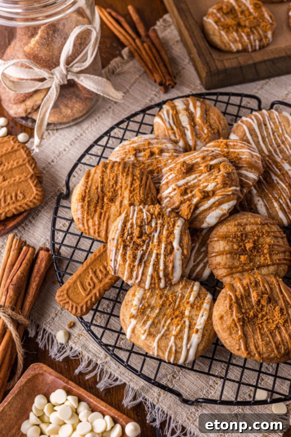 Biscoff Bliss: Soft-Baked Cinnamon Butter Cookies 29 Biscoff Snickerdoodle Cookies with a jar of cookies
