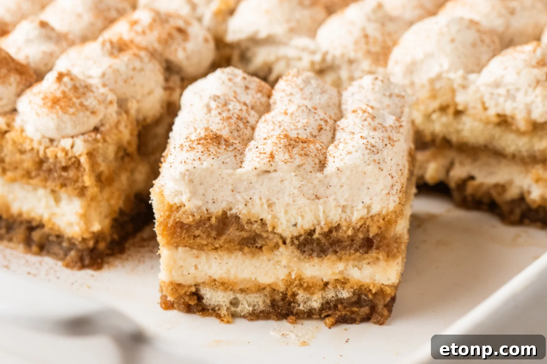 Eggnog Tiramisu: A Festive Holiday Treat 22 No Bake Eggnog Tiramisu sliced on a white platter
