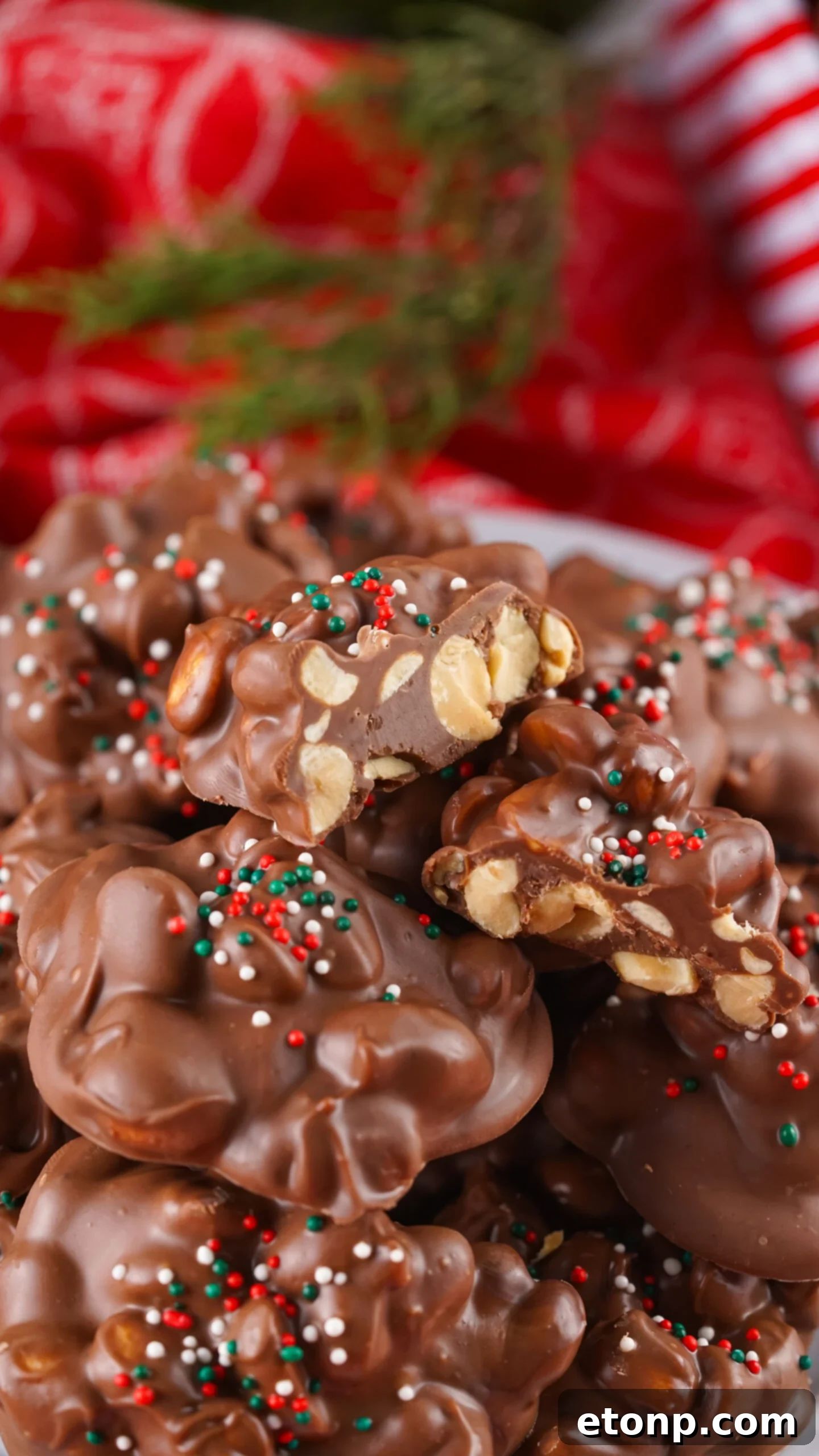 Slow Cooker Holiday Fudge: 4-Ingredient Magic 2 Crockpot Christmas Candy on a white plate