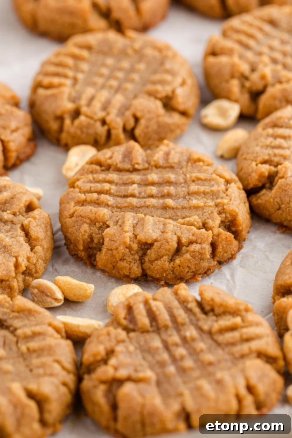 Four-Ingredient Peanut Butter Bliss: The Simplest Cookie Recipe Ever 2 Four Ingredient Peanut Butter Cookies spread around the table with peanuts