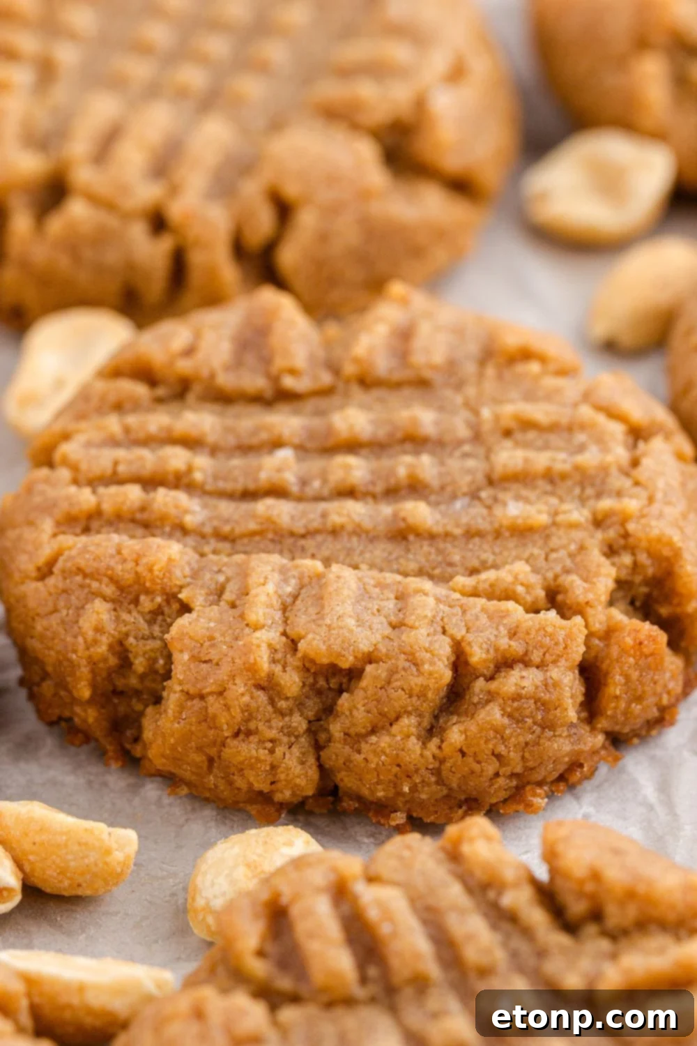 Four-Ingredient Peanut Butter Bliss: The Simplest Cookie Recipe Ever 12 Four Ingredient Peanut Butter Cookies spread out on a table with peanuts