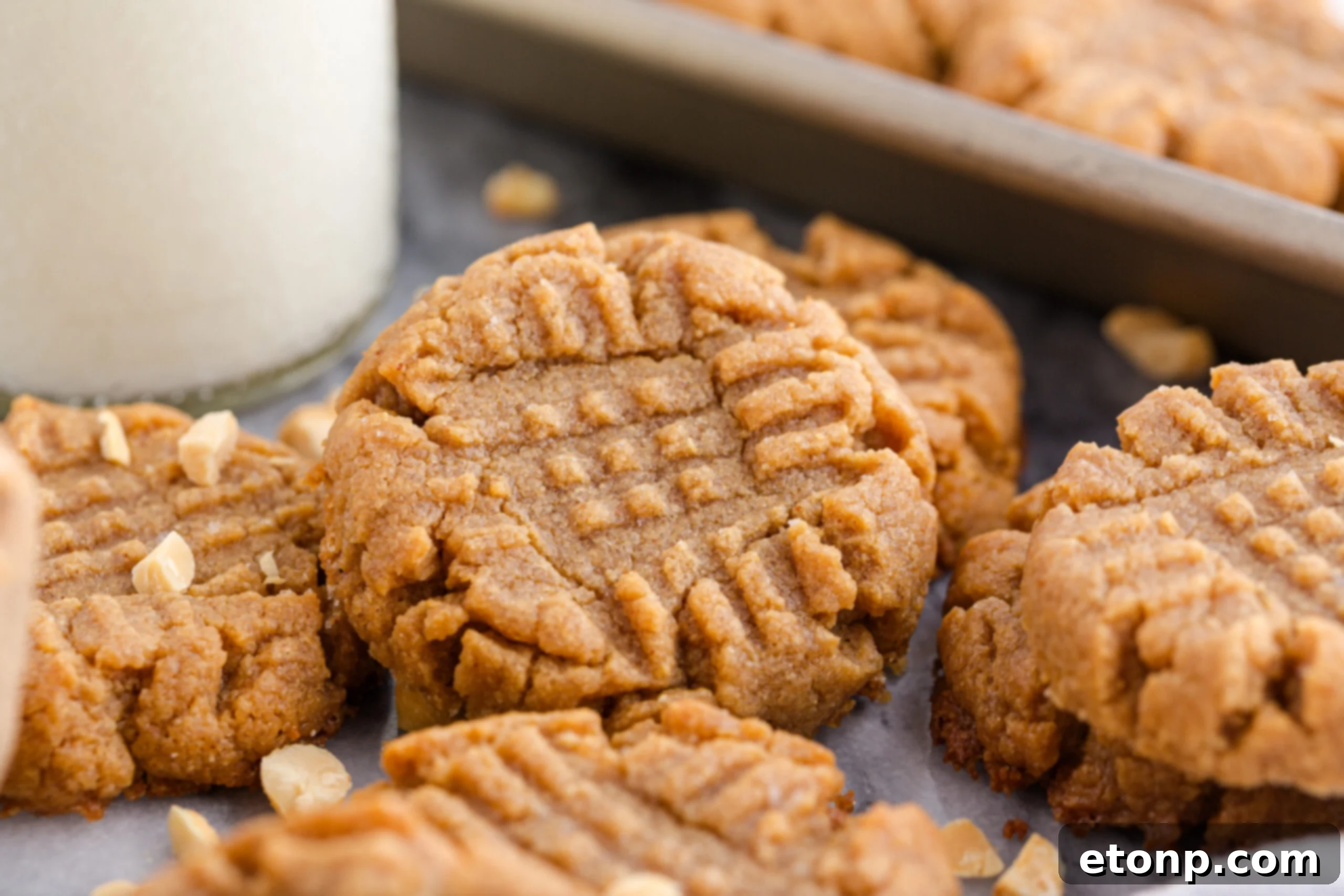 Four-Ingredient Peanut Butter Bliss: The Simplest Cookie Recipe Ever 18 Four Ingredient Peanut Butter Cookies with milk