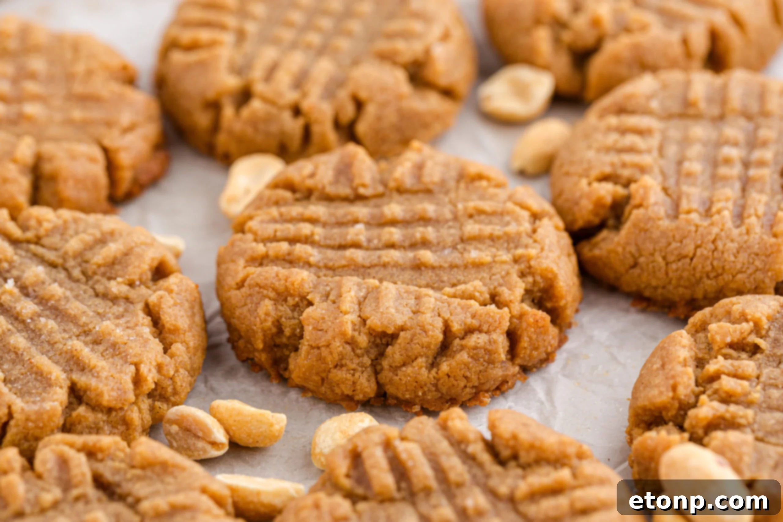Four-Ingredient Peanut Butter Bliss: The Simplest Cookie Recipe Ever 23 Four Ingredient Peanut Butter Cookies spread out