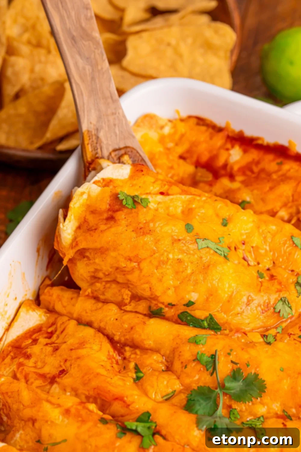 Beefy Enchiladas: A Fiesta of Flavor 15 Serving Steak Enchiladas with tortilla chips
